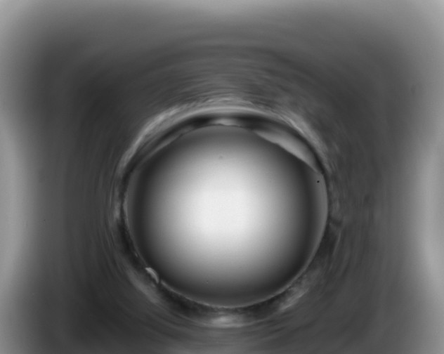 X0000086260060200704051311