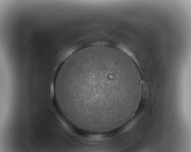 X0000086260061200704051311