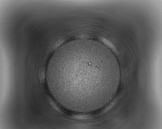 X0000086260065200704051311