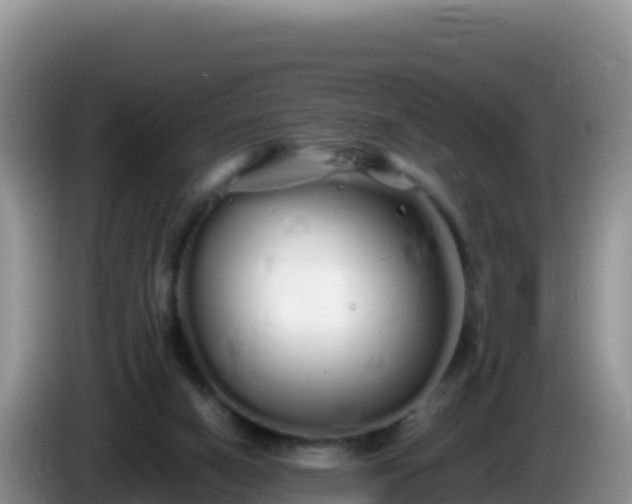 X0000086260066200704051311