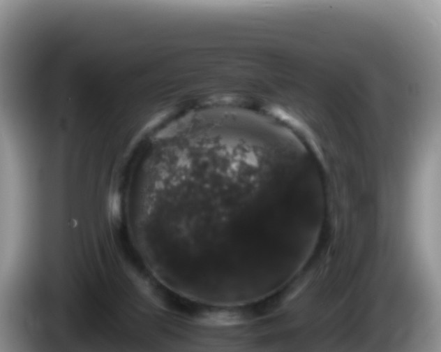 X0000086260067200704051311