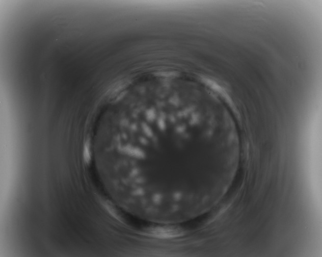 X0000086260069200704051311