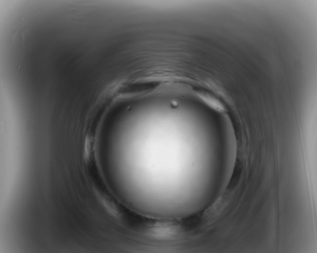 X0000086260070200704051311