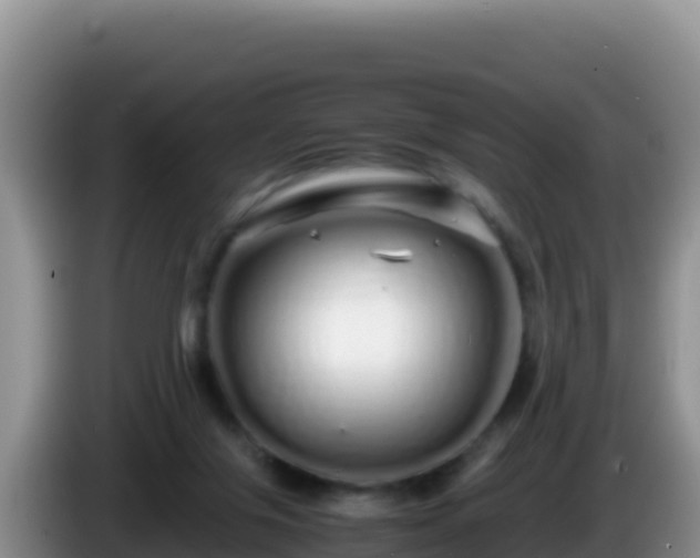 X0000086260071200704051311
