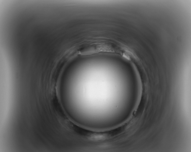 X0000086260073200704051311