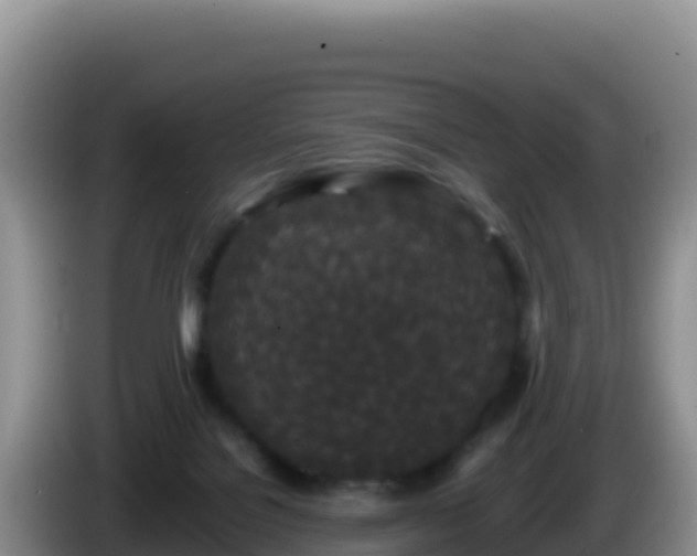 X0000086260076200704051311
