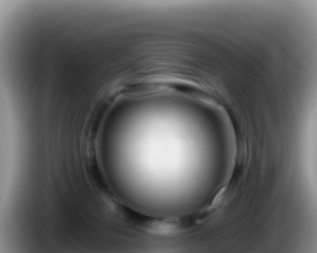 X0000086260078200704051311