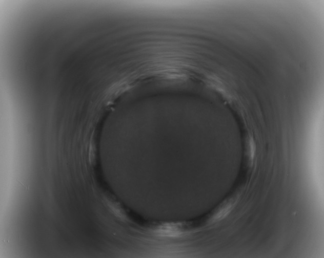 X0000086260080200704051311