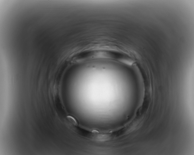 X0000086260081200704051311