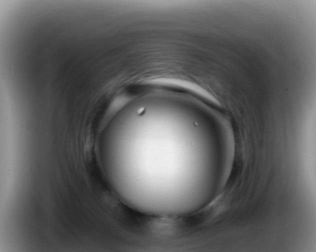 X0000086260082200704051311