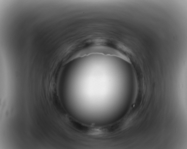 X0000086260083200704051312
