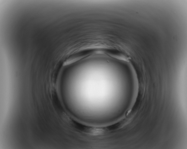 X0000086260085200704051312