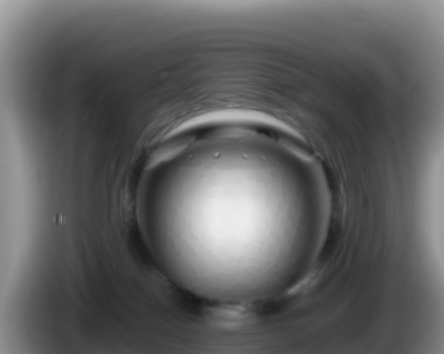 X0000086260086200704051312