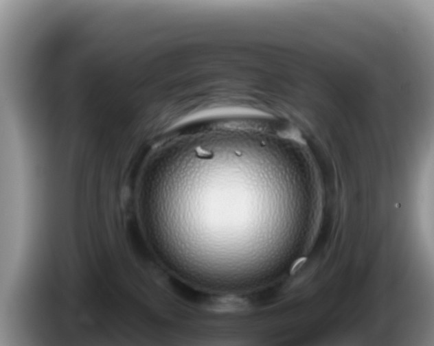 X0000086260087200704051312