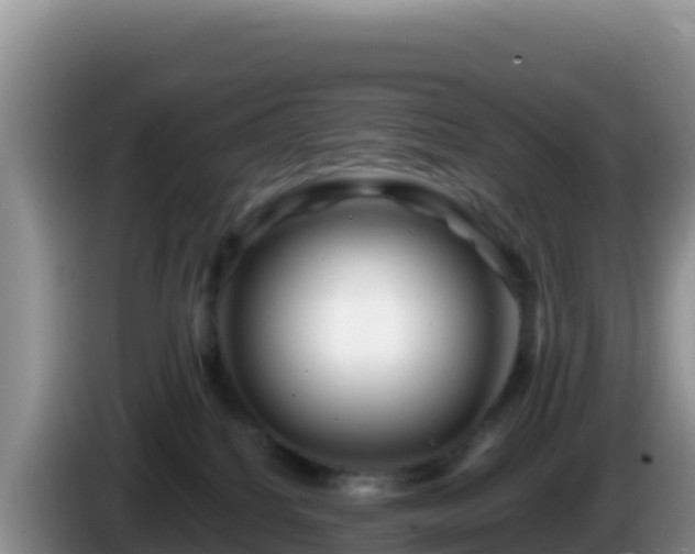 X0000086260088200704051312