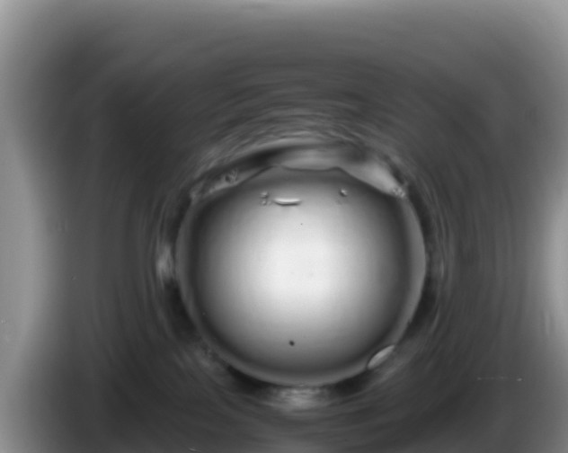 X0000086260089200704051312