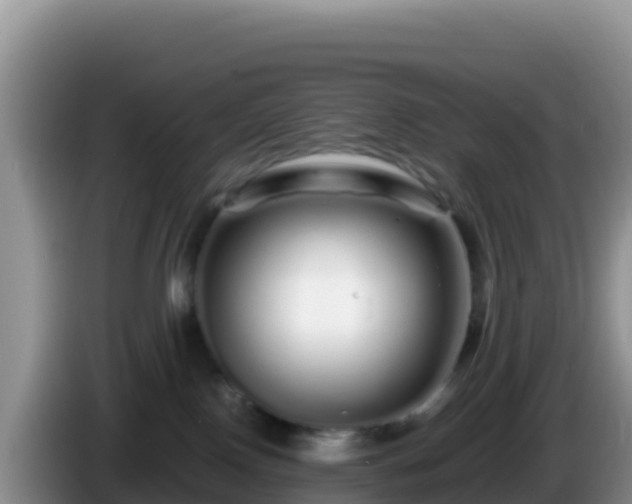 X0000086260090200704051312