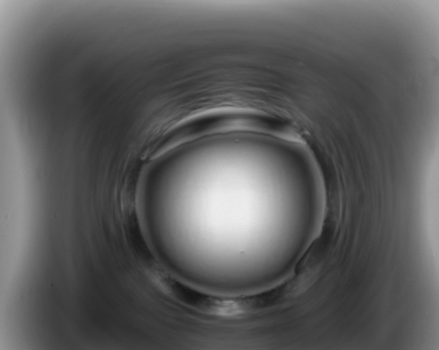 X0000086260091200704051312
