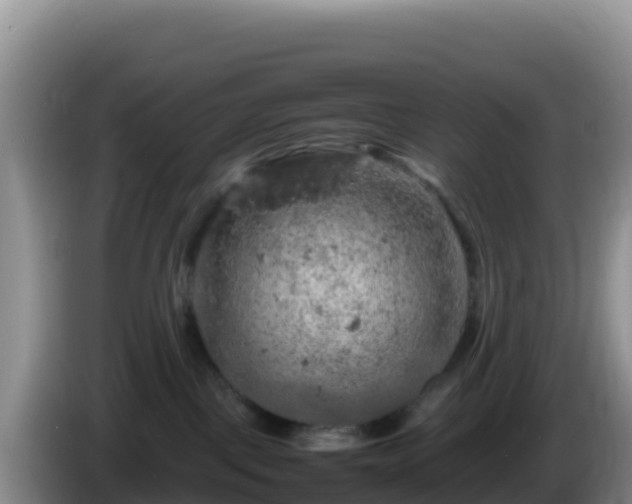 X0000086260093200704051312