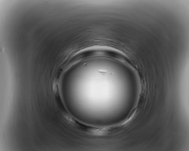 X0000086260094200704051312