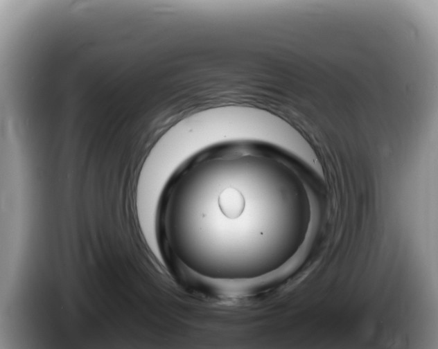 X0000086260096200704051312