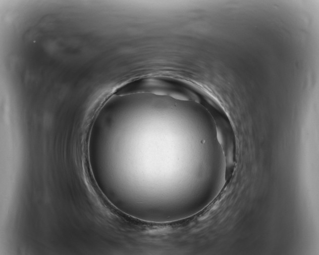 X0000086260097200704051311