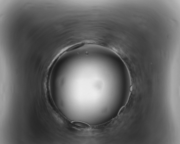 X0000086260098200704051311