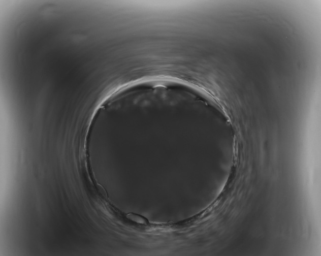 X0000086260099200704051311