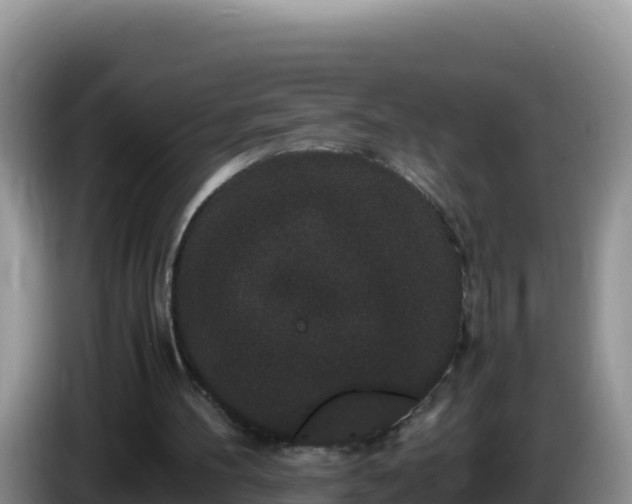 X0000086260100200704051311