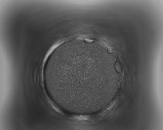 X0000086260102200704051311