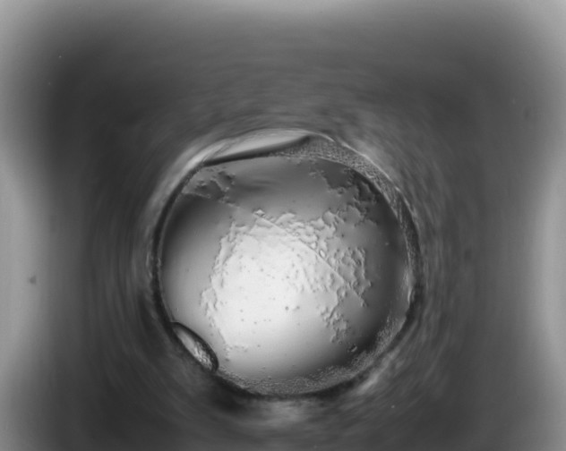 X0000086260103200704051311