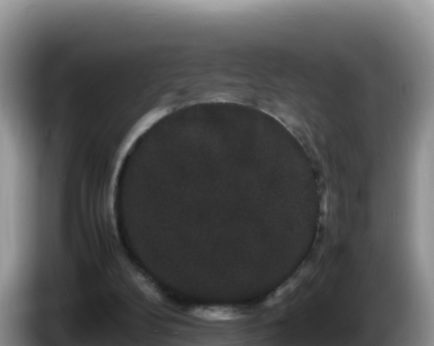 X0000086260104200704051311