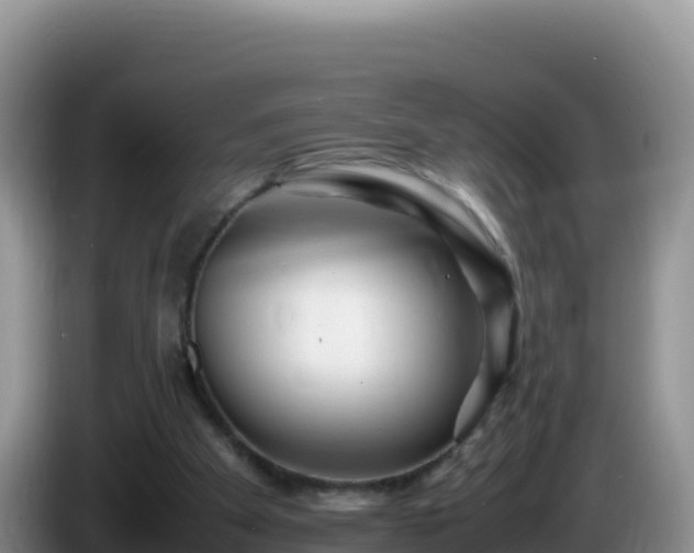 X0000086260105200704051311