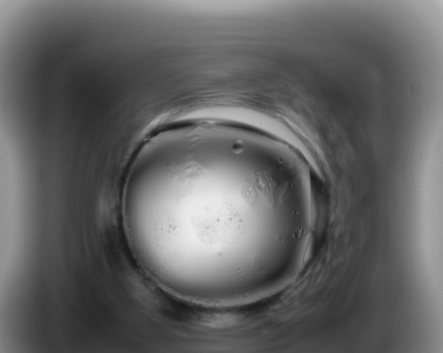 X0000086260107200704051311