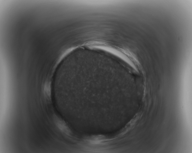 X0000086260108200704051311