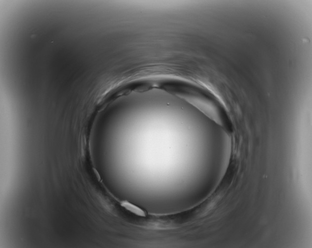 X0000086260109200704051311
