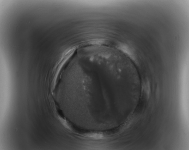 X0000086260110200704051311
