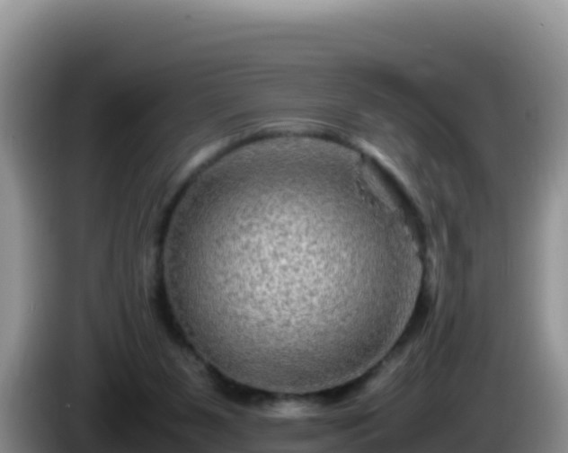 X0000086260111200704051311