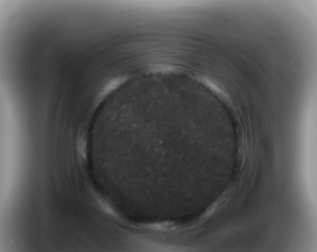X0000086260112200704051311