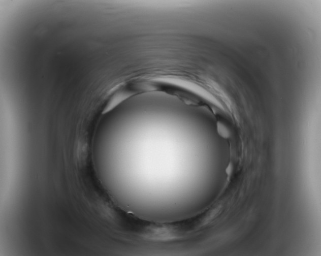 X0000086260113200704051311
