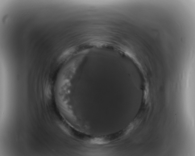 X0000086260114200704051311