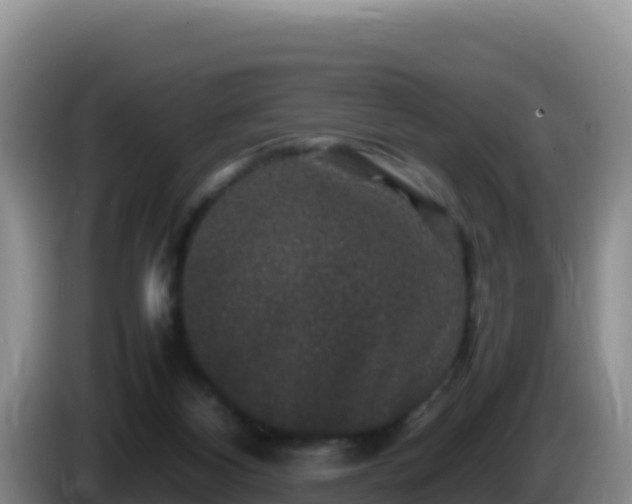 X0000086260116200704051311