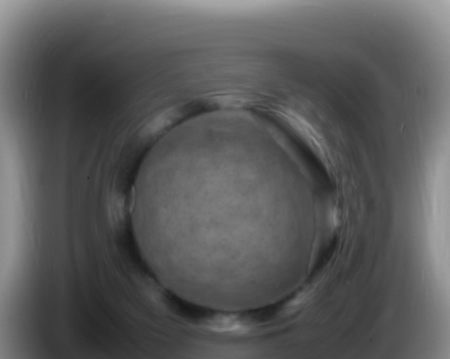 X0000086260117200704051311