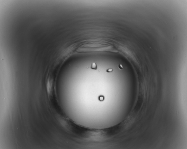 X0000086260118200704051311