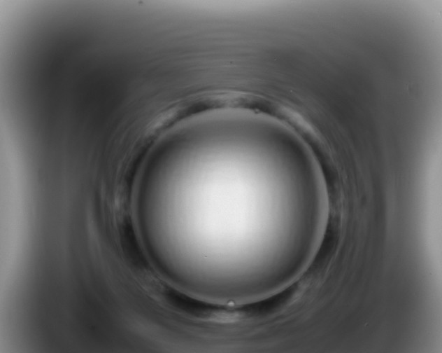 X0000086260119200704051311