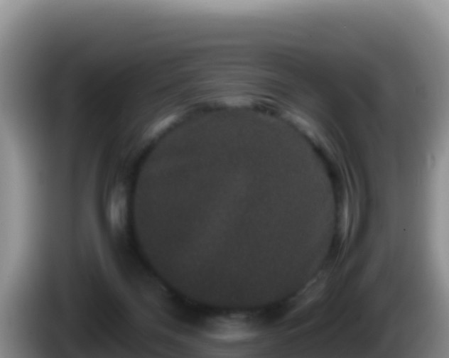 X0000086260120200704051311