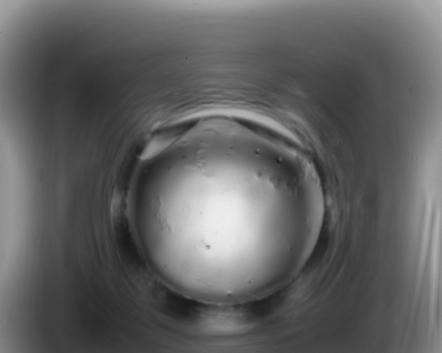 X0000086260123200704051311