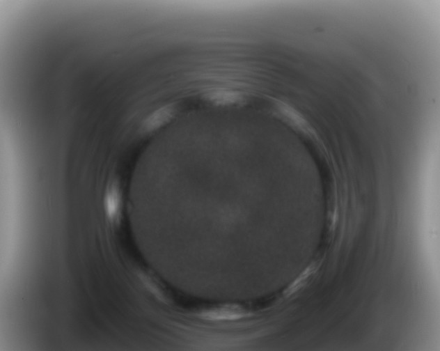 X0000086260124200704051311