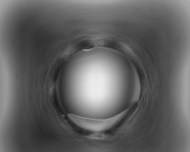 X0000086260125200704051311