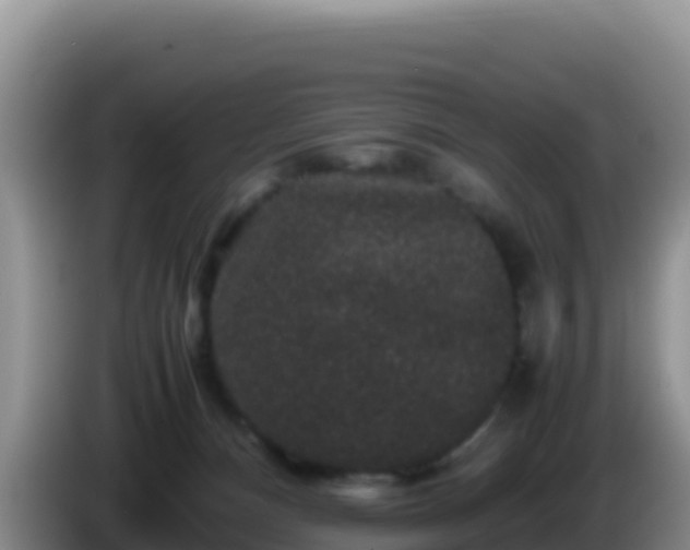 X0000086260128200704051311